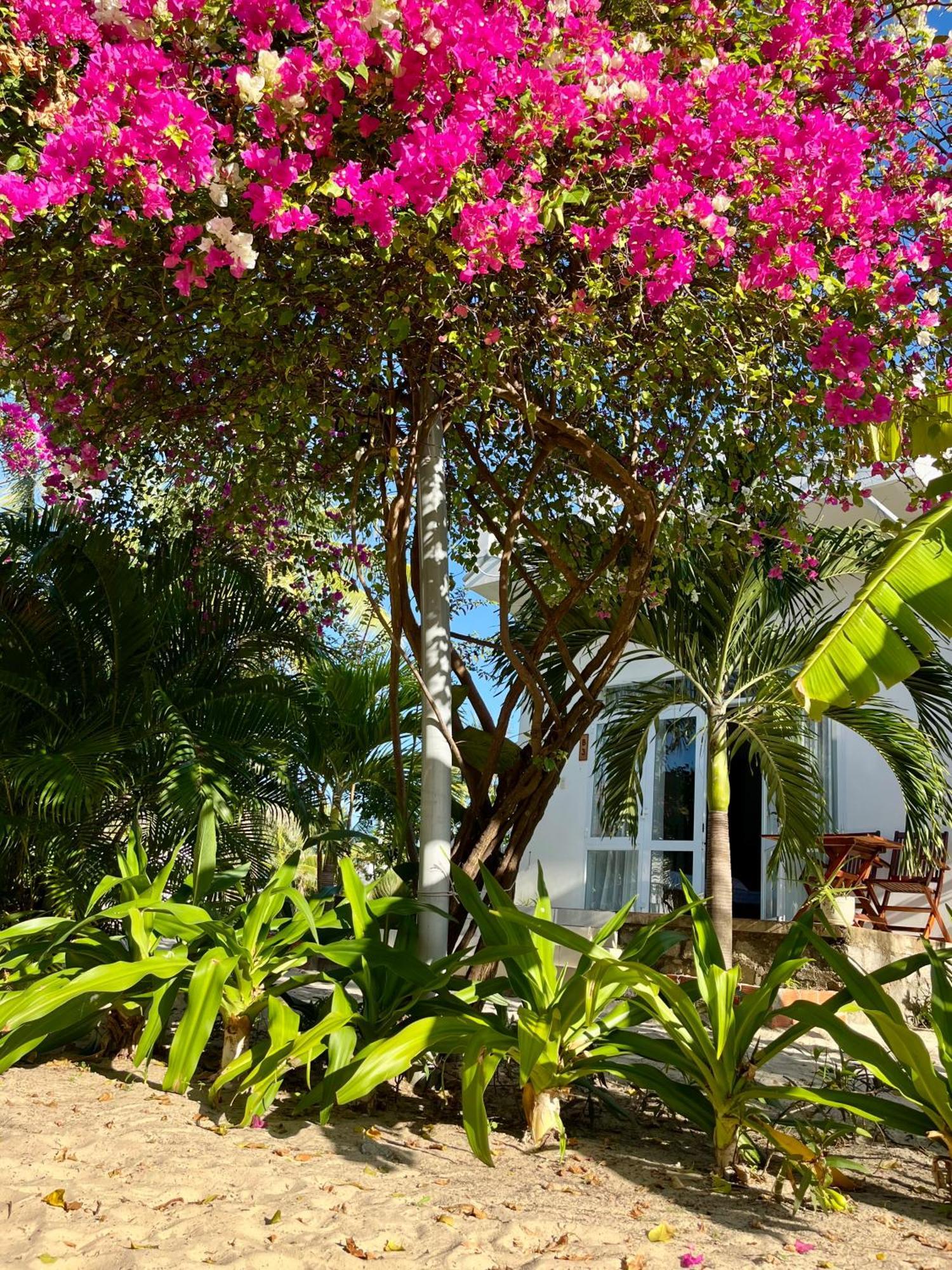 Robinson Beach Bungalow Vinh Hoa Eksteriør billede